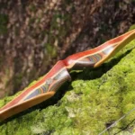 Ein Langbogen mit einem bunten, laminierten Holzgurt ruhen auf einem moosbedeckten Baumstamm in einem sonnenbeschienenen Wald.