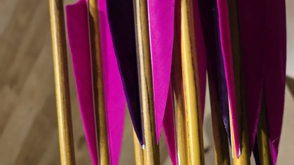 Pfeile mit traditioneller Naturbefiederung.